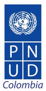 logo pnud